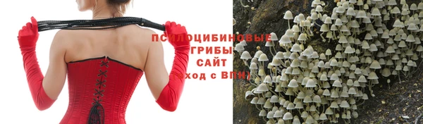 прущая мука Богданович