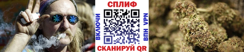 Бошки Шишки семена Высоковск